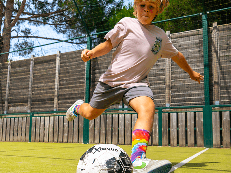 Camping APV Antioche au Bois Plage en Ré - Ecolodge