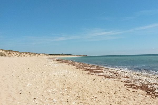 Camping APV Antioche au Bois Plage en Ré - Plage