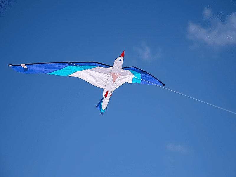 Camping APV Antioche au Bois Plage en Ré - Plage