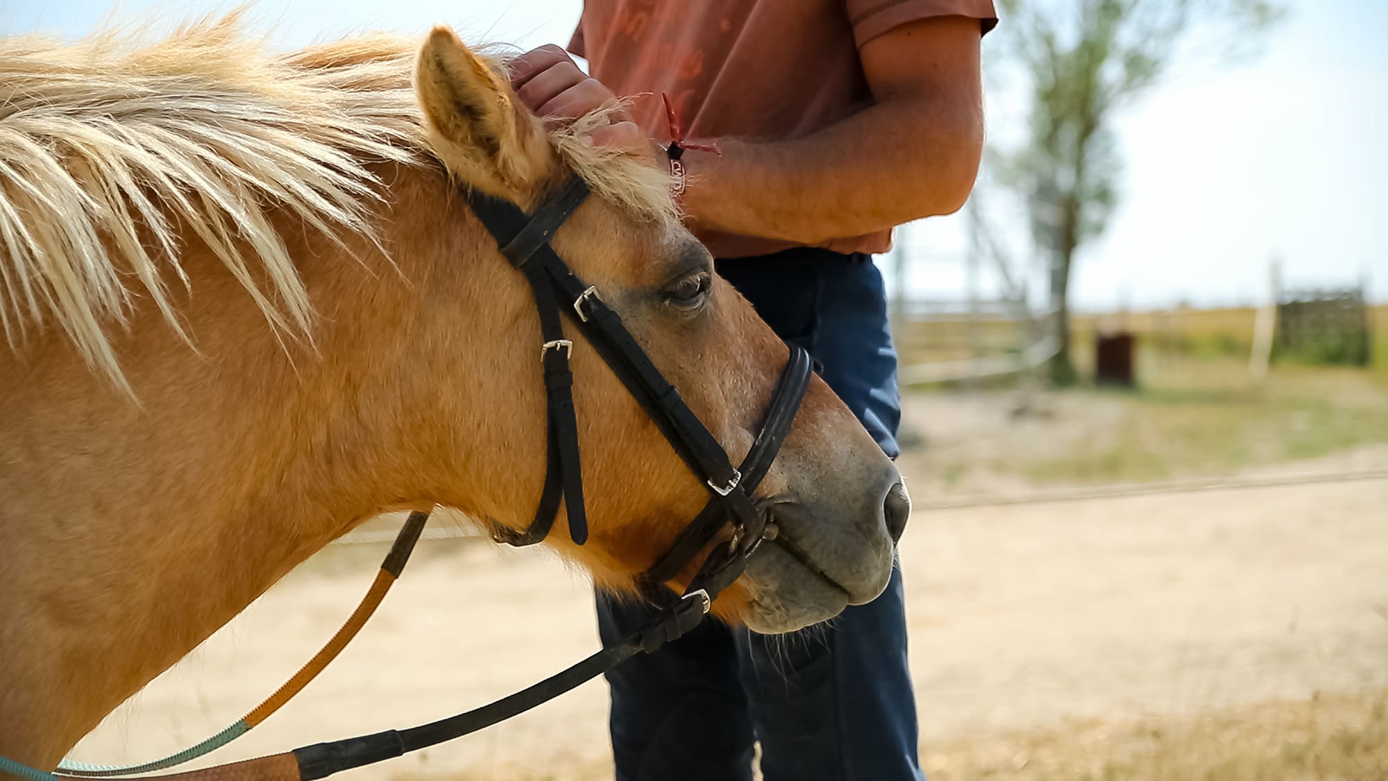 Camping Le Domaine des Guifettes - Camping en Vendée - Club enfants