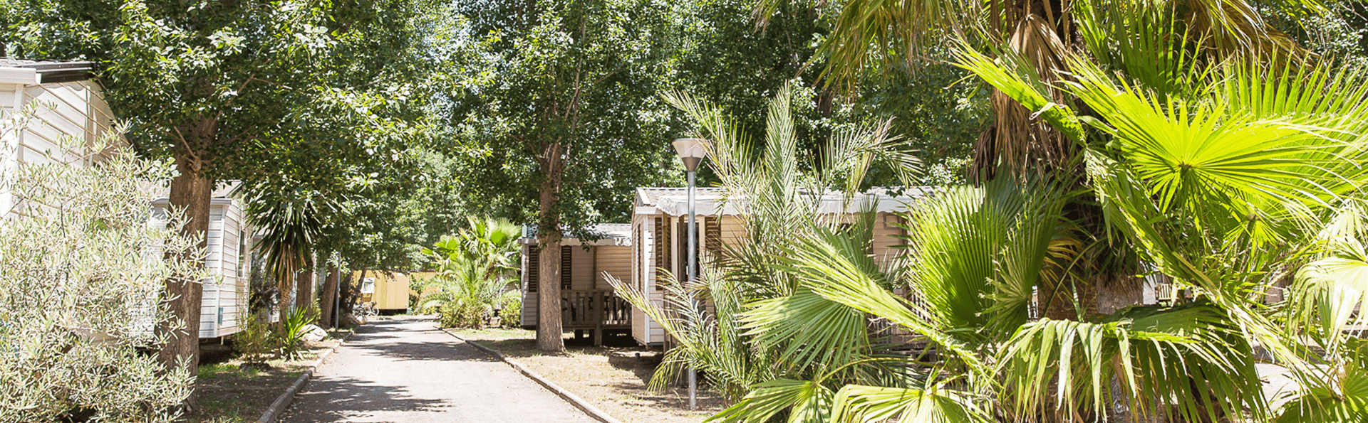 Camping L'Etoile de Mer