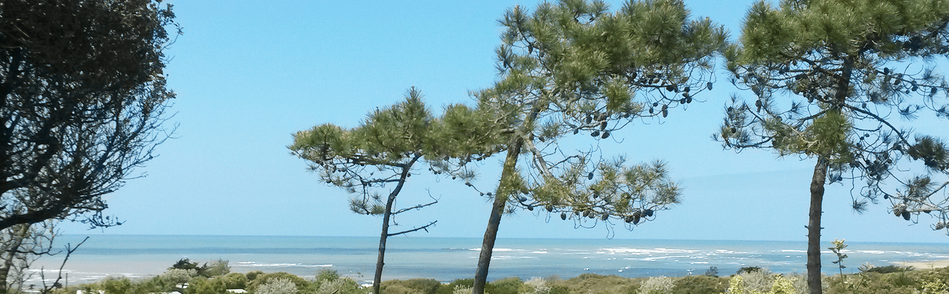 Camping L'Anse des Pins
