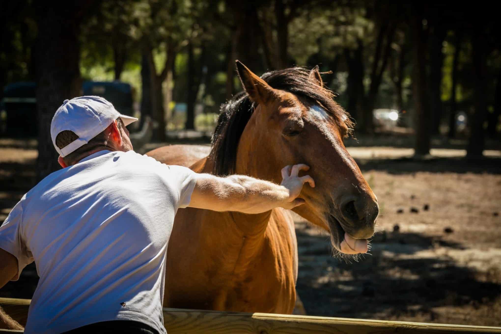apv sainte marie camping
