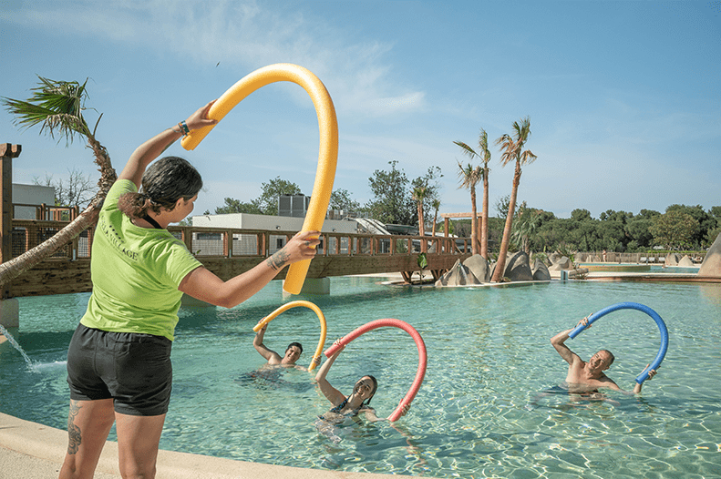 apv animations marsouins