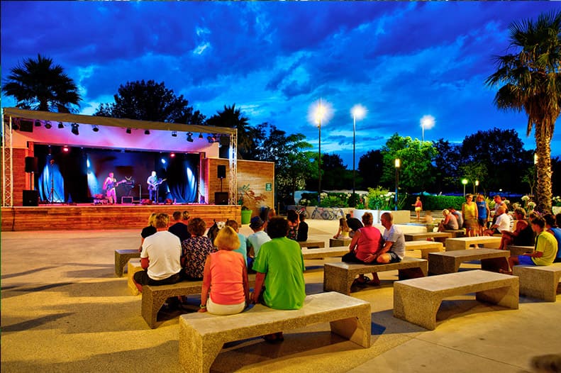 apv animations marsouins