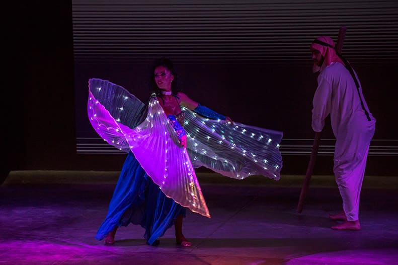 apv animations marsouins