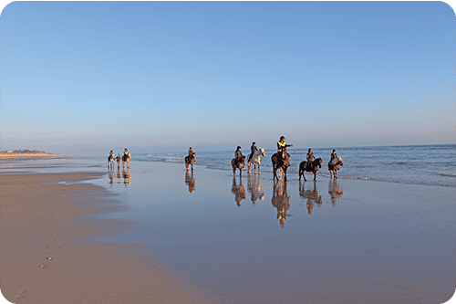 balade cheval plage